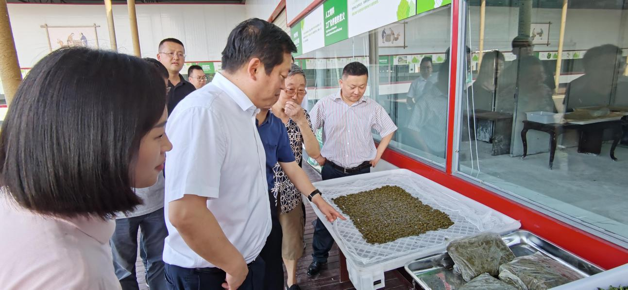 省尊龙凯时集团党委副书记、董事陈日赴嘉陵区调研茶桑产业发展情况